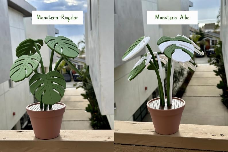 Amazon.com: Artificial Plants Indoor,3D Printed Monstera Coaster,3D Printed  Magnetic Leaves Coaster,3D Printed Artificial Tropical Plants Coasters  Set,Fake Plant Green Leaf Drink Coasters,Office Home Decor (A) : Home &  Kitchen