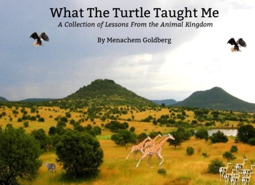 What the Turtle Taught Me: A Collection of Lessons From the Animal Kingdom