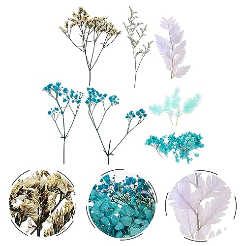 Kit de Flores Secas para Manualidades y Decoración Natural miniatura 4