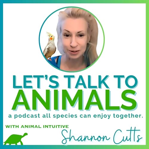 Let's Talk to Animals cover art
