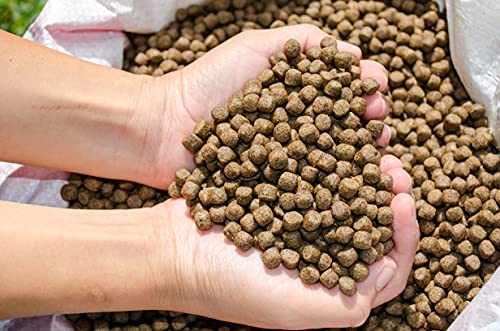Family Farm And Feed | Premium Floating Fish Food | Pond And Lake | Pellets | 2 Pounds #TOP6