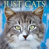 Just Cats 2023 Wall Calendar