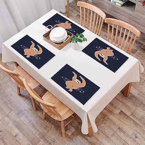 Funny Sloth Play Planets Placemats Set Cover