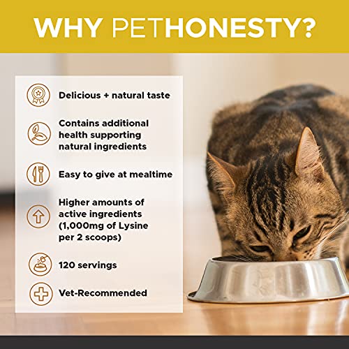 PetHonesty Immune Health Lysine - Supplement Powder for Cats - Immune Health, Cat Allergy Relief - Sneezing, Runny Nose… - Image 5