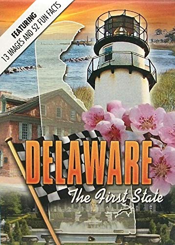 Saddle Mountain Souvenir Delaware con cartas de poker