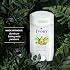 Ivory Aluminum Free Deodorant, Notes of Aloe, 24hr Gentle Deodorant, Dermatologist Tested, Baking Soda Free, Paraben Free, 2.4 oz