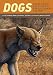 Dogs: Their Fossil Relatives and Evolutionary History