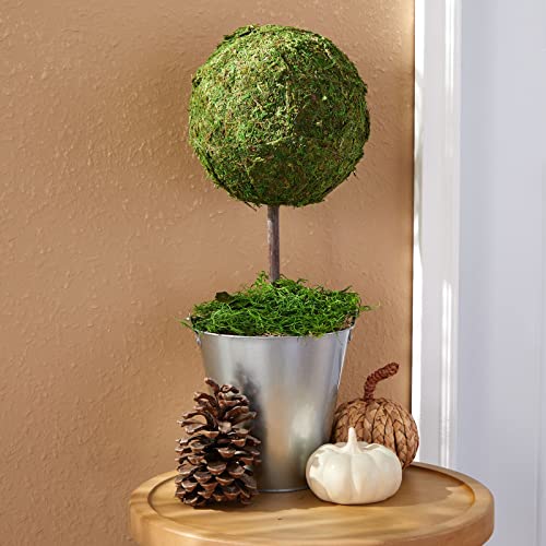 image for Genie Crafts 2 Pack Half Sphere Foam Balls for Crafts - 8