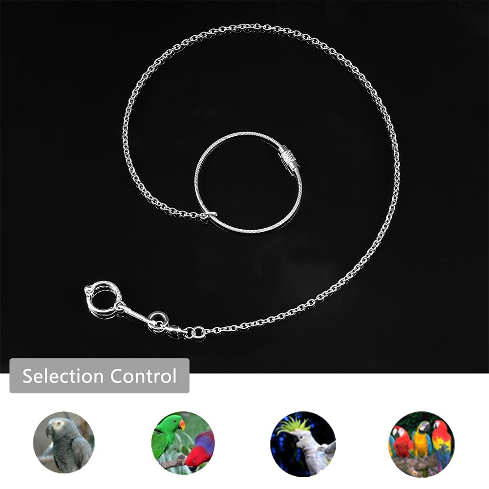 AHANDMAKER Catenina per Pappagalli per Uccelli da Compagnia, Catena in Acciaio Inox con Piedistallo per Uccelli con Anello, Accessori per Anelli Pappagallo Caviglia (Modello 12, 11.5 millimetro)