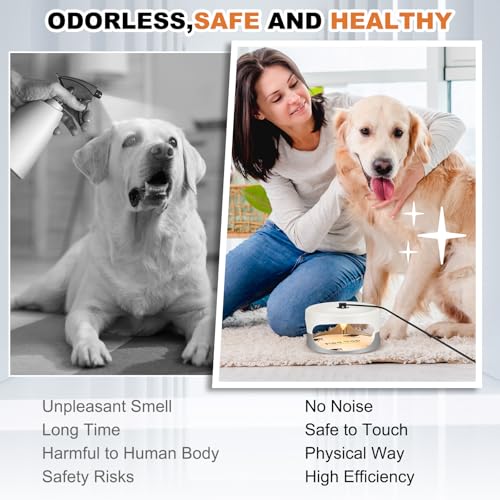 Image of 4 Packs Flea Traps for Inside Your Home, White, Purple | Includes 8 Sticky Pads, 12 Bulbs, 4 Electric Wires, Flea Killer Indoor Bed Bug Light Trap, for Home Indoor Safe to Pets