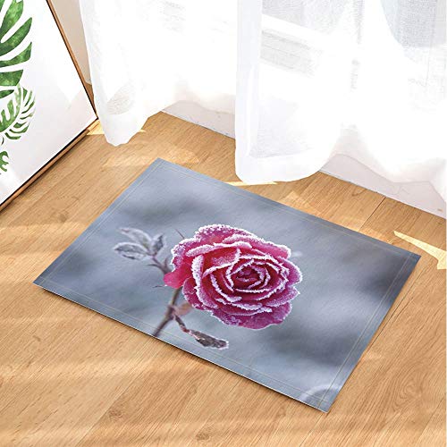 Fdswdfg221 San Valentino Tappeti di Inverno Rosa