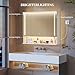 Hzuaneri Spiegelschrank Bad mit LED-Beleuchtung, zusätzliche LED-Beleuchtung Oben und unten, 3 Farbtemperatur Dimmbare, Badspiegelschrank, Verstellbare Regal, 21 x 90 x 76 cm, Weiß 5490103XEU