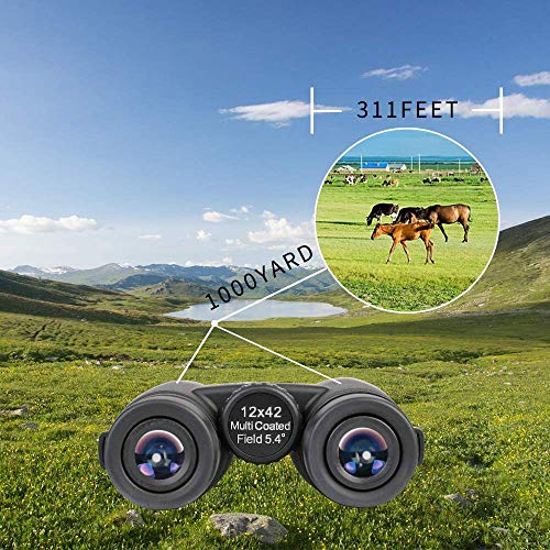 ToyerBee Binoculars, 12X42 HD Roof Prism Folding Binoculars for Adults&Kids, Waterproof Binocular Weak Light Night Vision for Bird Watching Concert Traveling and Sightseeing with Smartphone Adapter
