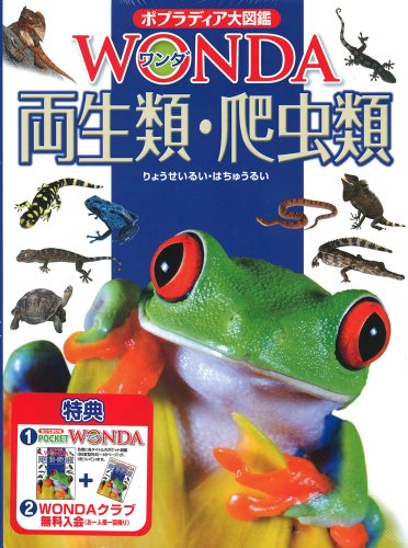 両生類・爬虫類 (ポプラディア大図鑑WONDA)