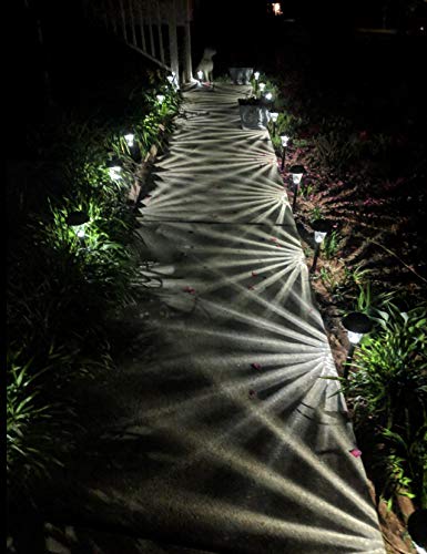 Enchanted Spaces Bronze Solar Path Light, Set of 6, with Glass Lens, Metal Ground Stake, and Extra-Bright LED for Garden, Lawn, Patio, Yard, Walkway, Driveway