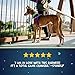 2 Hounds Design Freedom No Pull Dog Harness, Adjustable Harness, Easy Walking & Comfortable Control, Fits Small, Medium & Large Dogs, Solid Colors, Made in USA, 1