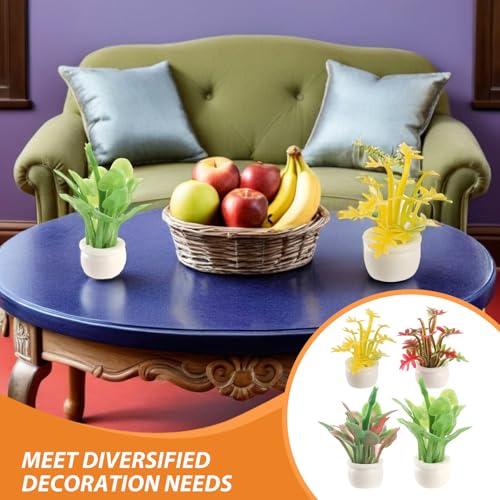 POPETPOP 16~j V~[VAؔ O[~j~  ^l`pi Ah[nEX O[fR[V