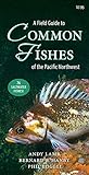 A Field Guide to Common Fishes of the Pacific Northwest