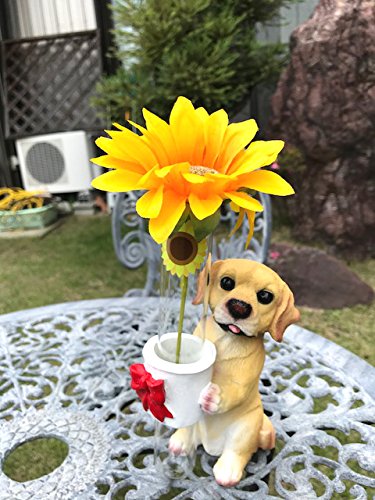 Ђ܂̑ԕt KXԕrqu uh[