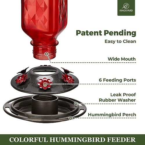 Kingsyard Glass Hummingbird Feeder for Outdoor Hanging, 24 Ounces, 6 Feeding Ports, Bird Nectar Feeder for Garden Décor, Ant Moat Included, Red - 2