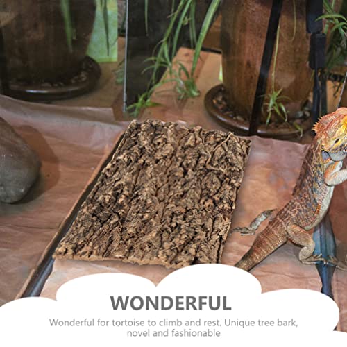 Totority Cork Terrarium Background - Image 2