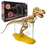 Toysvill Archaeological Big Fossil Dinosaur Skeleton, DIY, 3D Puzzle 60 pcs [Realistic Tyrannosaurus Rex Model]