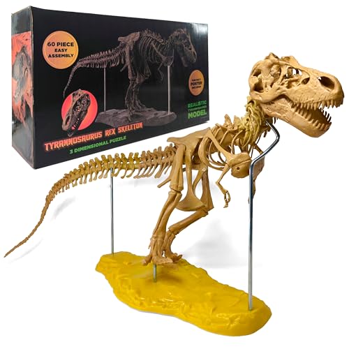 Toysvill Dinosaur Skeleton 3D Puzzle (60 pcs)