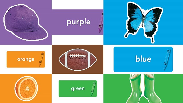 Colors All Around Us on Amazon Live