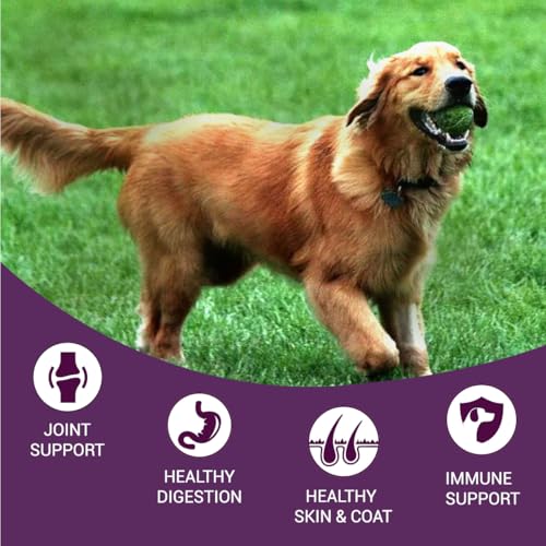 Image of Bowlers Nutrimax Adult Dry Dog Food | Chicken & Vegetables | 3 kg Protein | Smooth Digestion & Healthy Coat | Complete & Balanced Nutrition | Enriched with Essential Amino Acids