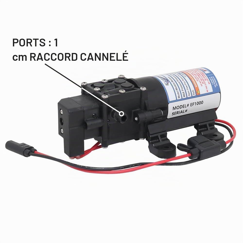 Everflo EF1000-AMZ Pompe à membrane 12 V Noir