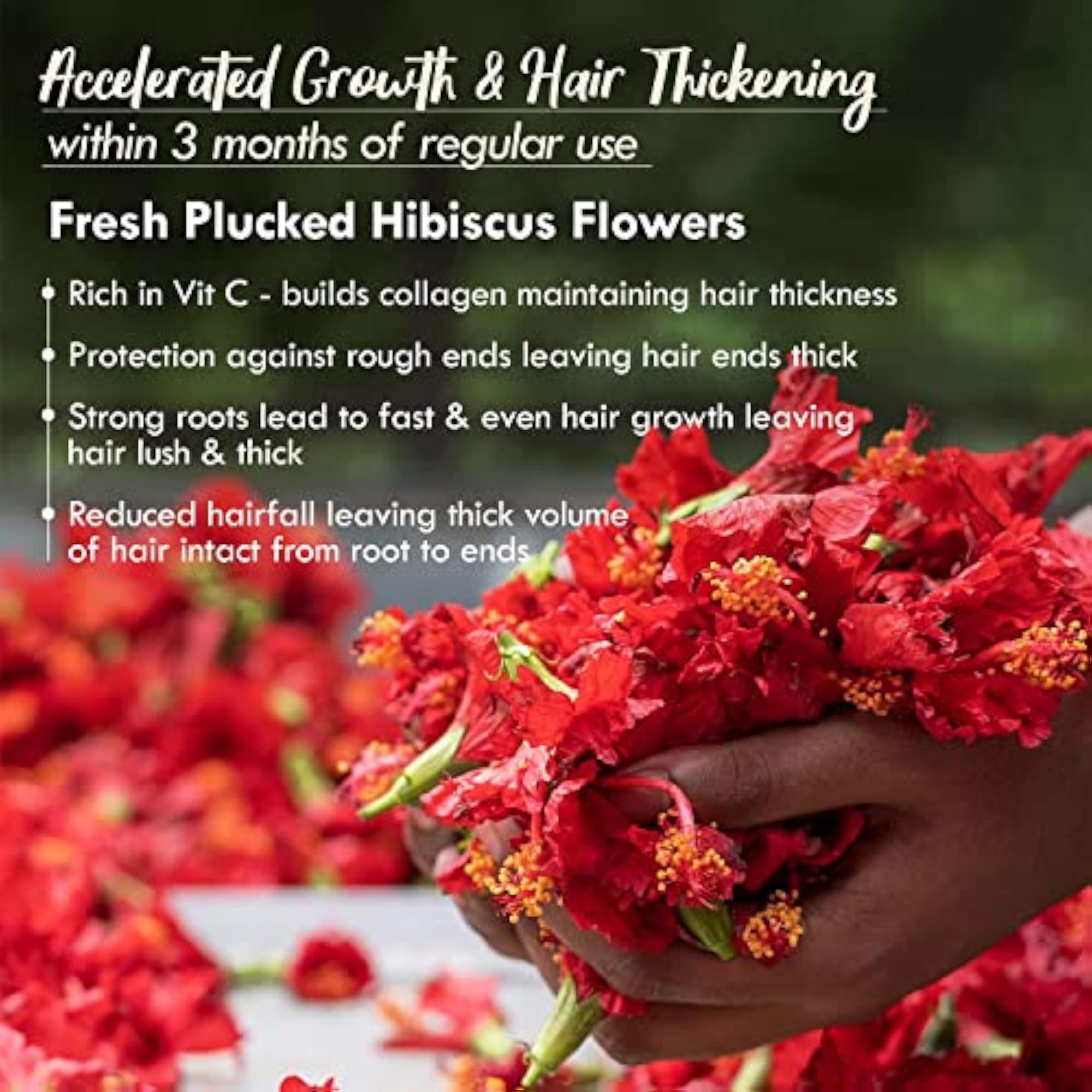 Hibiscus Hair Oil & Hair Mask Combo