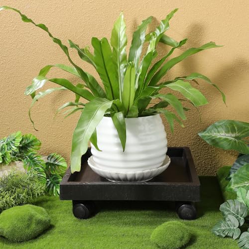 Support de Pot de Fleurs à roulettes 29x29 cm avec Bac d'Eau Intérieur - 6