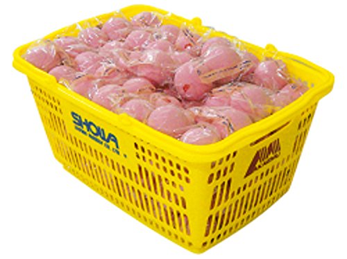 Lucent(ルーセント) アカエムボールカゴ入り(公認規格球) ピーチレッド 10ダース(120個) M-30130 ピーチレッド Amazon | Lucent(ルーセント) アカエムボールカゴ入り(公認規格球