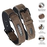 Didog Hundehalsband, weiches, gepolstertes, Leder, mit personalisierbarem, graviertem Namensschild, D-Ring. Für kleine und mittelgroße Hunde geeignet.