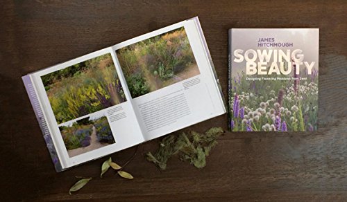 Sowing Beauty: Designing Flowering Meadows from