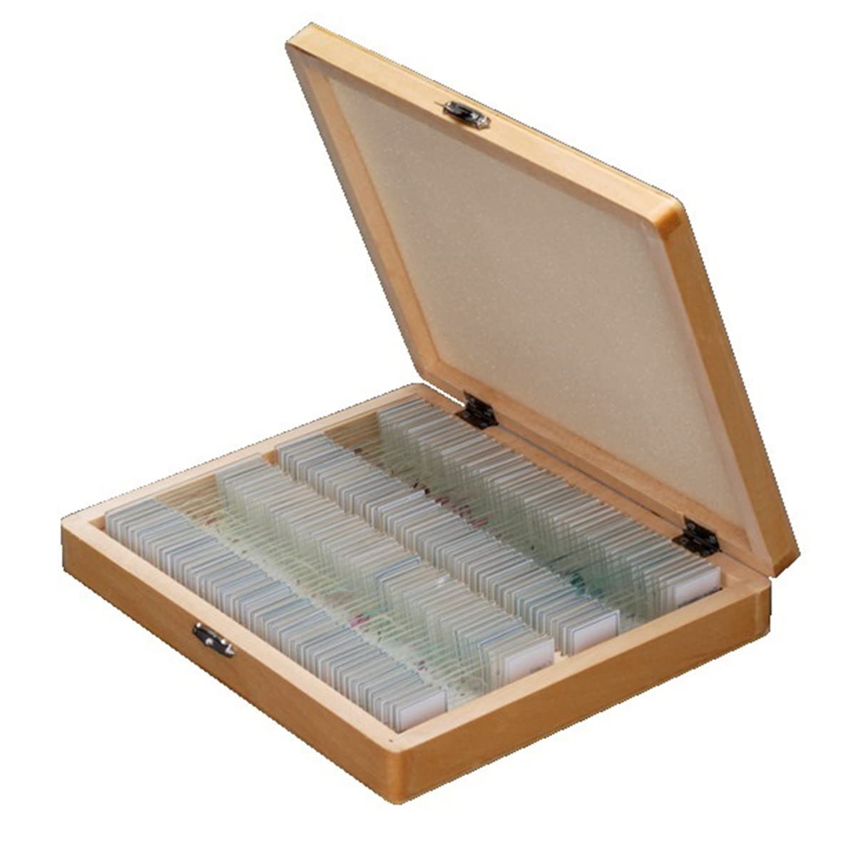 Lab Microscope Accessories 100Pcs Microscope Glass Slides Prepared Biological Slides in Wood Box