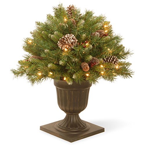 National Tree 24 Inch Frosted Berry Porch Bush with Red Berries, Cones and 50 Clear Lights in Dark Bronze Urn (FRB3-24PLO)