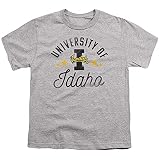 University of Idaho Official Vandals Unisex Youth T, Athletic Heather, L