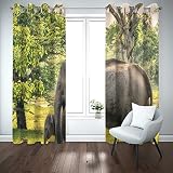 CICOLO Rideaux Occultant Chambre - éléphant Animal - Lot de 2 Rideaux 3D Impression Isolant Thermique - L 140 x H 160 cm - Rideaux Occultant à Oeillets Moderne Rideau Fenêtre Salon