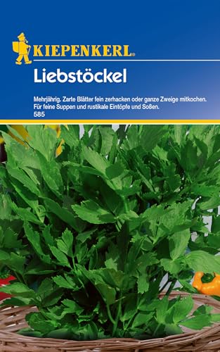 Kiepenkerl Liebstöckelsamen, mehrjährig 585 - Mehrjährig - Zarte Blätter - Inhalt für 50 Pflanzen - Kräutersamen, Saatgut, Samen Kräuter, Winterhart Kiepenkerl Liebstöckelsamen, mehrjährig 585 - Mehrjährig - Zarte Blätter - Inhalt für 50 Pflanzen - Kräutersamen, Saatgut, Samen Kräuter, Winterhart