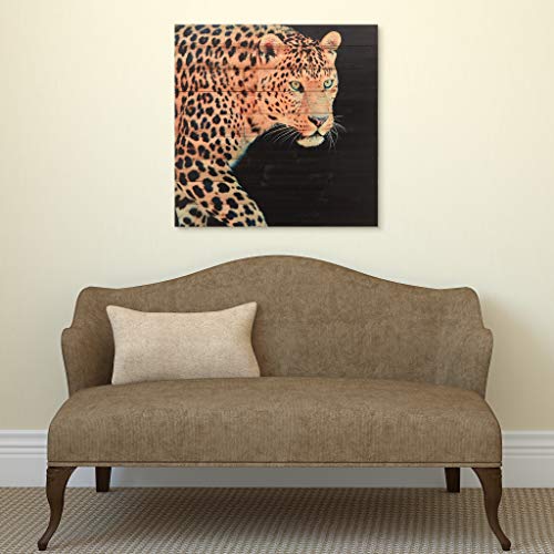 Empire Art Direct Panther, 36 In. X 36 In. X 1.5 In, Black #TOP3