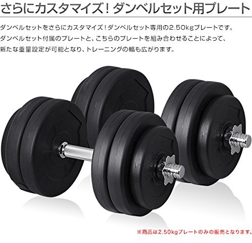 NIPPYO 10kg ダンベルプレート×2【20kg】 NIPPYO 10kg ダンベルプレート×2【20kg】 NIPPYO 10Kg ダンベル