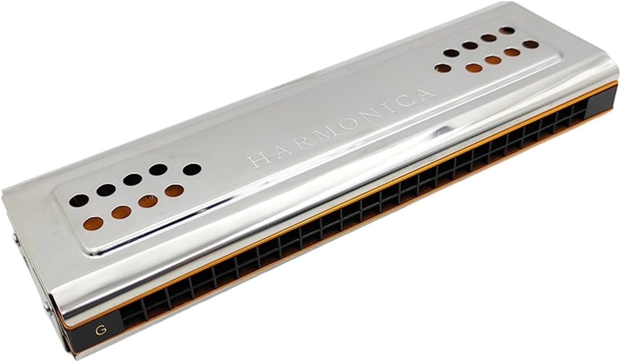 バンドハーモニカ 24穴のダイアトニック両面ダブルチューニングCandGハーモニカ、大人の演奏用楽器