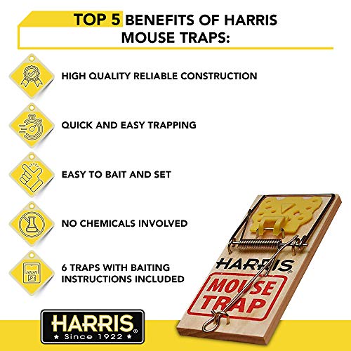 Harris Wooden Mouse Snap Traps (6-Pack) #TOP2