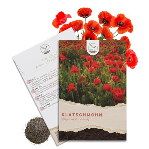 Klatschmohn Samen (Papaver rhoeas) - Wunderschön blühende Mohnblumen mit langer Blütezeit für eine bunte Blumenwiese (Rot)