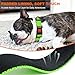 Taglory Hundehalsband, Weich Gepolstertes Neopren Nylon Hunde Halsband für Mittlere Hunde, Verstellbare und Reflektierend für das Training, Grün