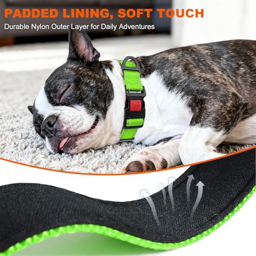 Taglory Hundehalsband, Weich Gepolstertes Neopren Nylon Hunde Halsband für Mittlere Hunde, Verstellbare und Reflektierend für das Training, Grün