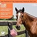 ZKTRADING Compressed Himalayan Salt Lick for Animals – 3KG Natural Mineral Block Hanging Rope Included – Long-Lasting & Weather Resistant – Ideal for Horse, Cow, Deer, and Livestock. (Pack 1)