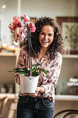 Miniatura 7 de Lechuza 13960 ORCHIDEA Maceta de riego automático para uso en interiores y exteriores, 7 x 7 x 8 pulgadas, color blanco