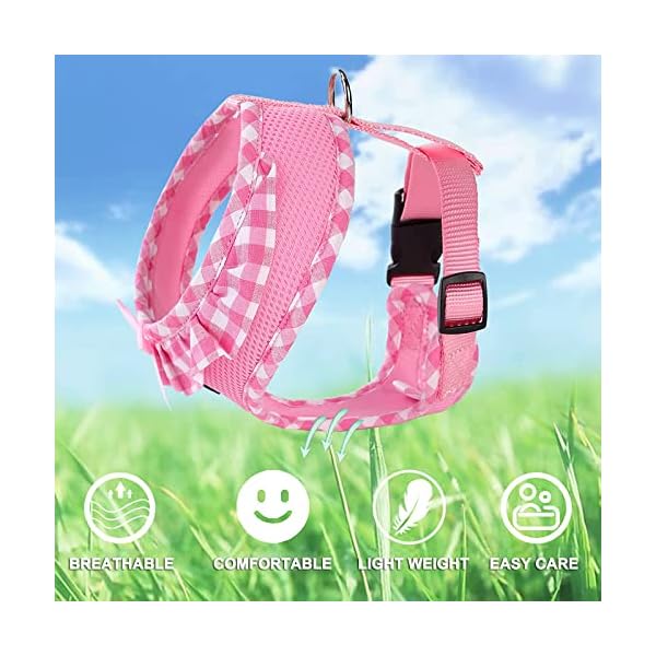 SuperBuddy Upgraded No Pull & No Choke Dog Harness, Super Soft Mesh Breathable Pet Vest Harnesses, Lightweight Adjustable Vest Harness for Puppies and Cats-Comfort fit¡ SuperBuddy Upgraded No Pull & No Choke Dog Harness, Super Soft Mesh Breathable Pet Vest Harnesses, Lightweight Adjustable Vest Harness for Puppies and Cats-Comfort fit¡